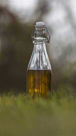 Close-up of glass bottle on field