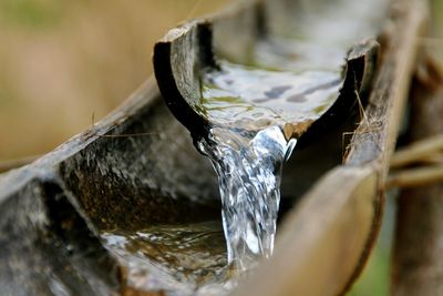 Close-up of icicles on tree