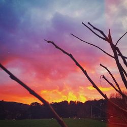 Scenic view of landscape against cloudy sky at sunset