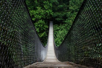 Footbridge amidst trees