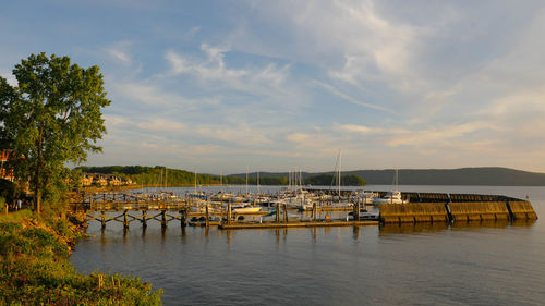 Sailboats moored in marina against sky