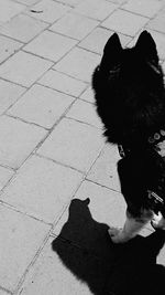 Shadow of woman sitting on floor