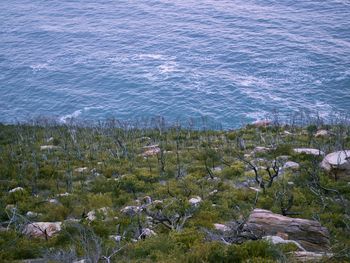 Scenic view of sea