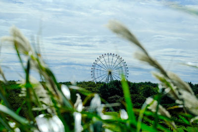 Close-up of ferris wheel against sky