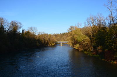 River amidst trees in forest against clear blue sky