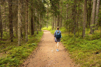 One girl with a blue backpack walks along a forest path among tall fir trees