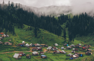 High angle view of trees and houses on field