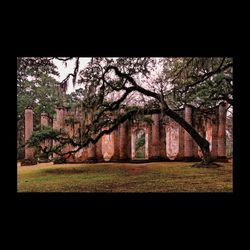 Built structure with trees in background