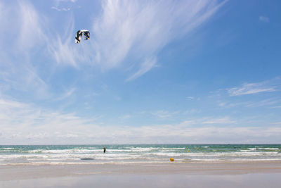 View of a beach in brittany with a kitesurf