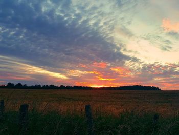 Scenic view of field against sky during sunset