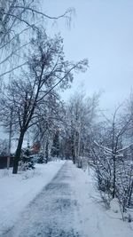 Snow covered bare trees against sky