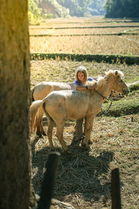 Cow standing on field