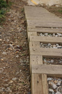 Close-up of lizard on wood