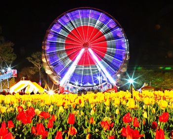 Multi colored illuminated ferris wheel against sky