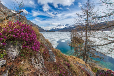 Scenic view of lake and mountains against sky