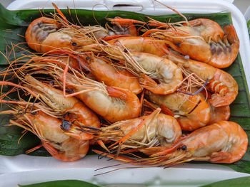 Close-up of seafood in market