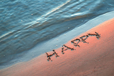 High angle view of happy text on shore at beach