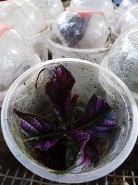 High angle view of ice cream in glass container