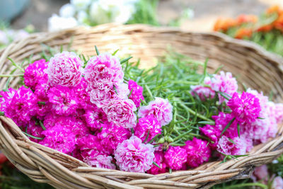 Close-up of pink flowering plants in basket