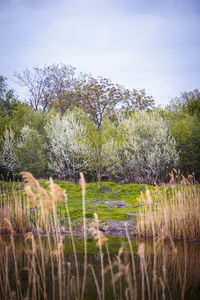Scenic view of lake against sky