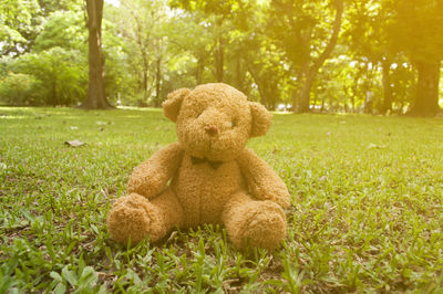 Teddy bear on grass in park