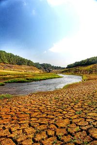 Scenic view of landscape against sky