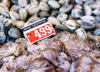 Close-up of food with label and ice at jessie taylor seafood fish market