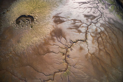 High angle view of footprints on wet land