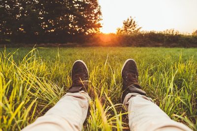Low section of man lying on grassy field during sunset
