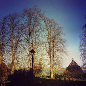 Low angle view of bare trees against blue sky