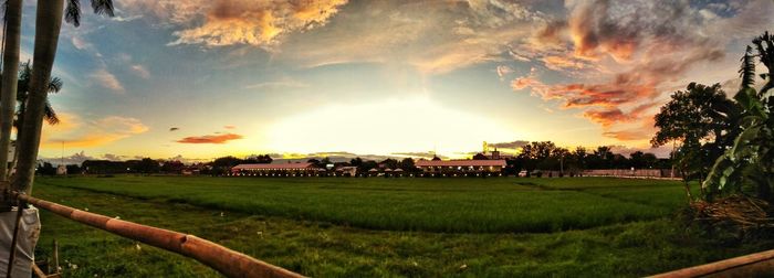 Scenic view of field against sky at sunset