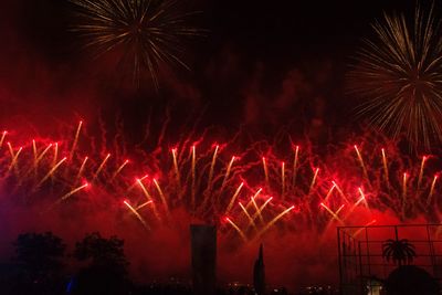 Low angle view of firework display at night