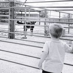 Rear view of boy standing on railing