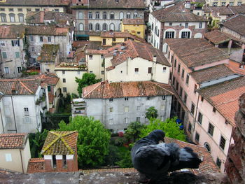 High angle view of townscape