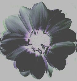 Close-up of paper over white background