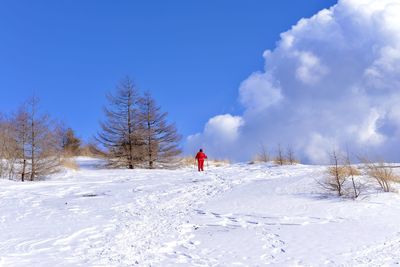 Person on snow covered field against sky