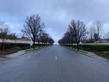 Empty road along bare trees against sky