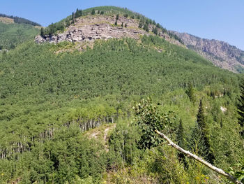 Scenic view of landscape against clear sky