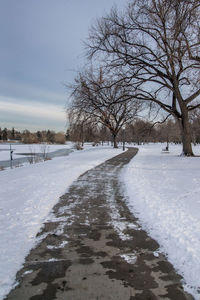 Bare trees on snow covered landscape
