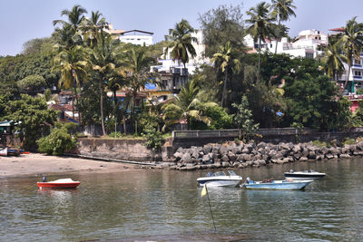 Sailboats moored in water