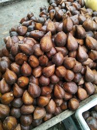 High angle view of coffee beans