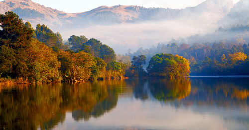 Scenic view of lake by trees during autumn