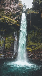 Scenic view of waterfall in forest