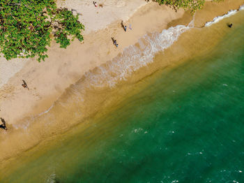 Aerial view of beach during sunny day