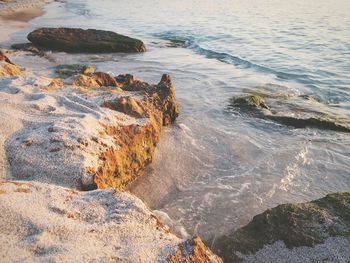 Scenic view of sea