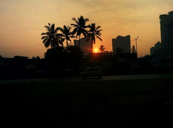 Silhouette palm trees against sky during sunset