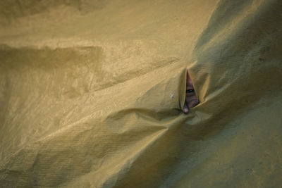 Portrait of boy peeking through torn plastic