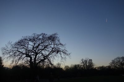 Low angle view of silhouette trees against clear sky