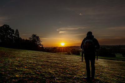 sunlight