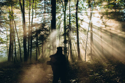 Man walking by trees in forest